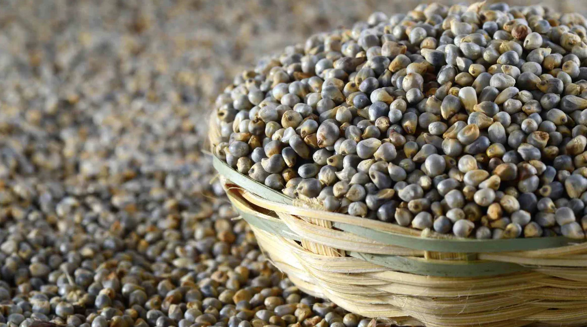 Bajra
