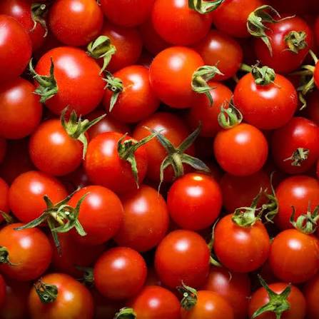 Tomato