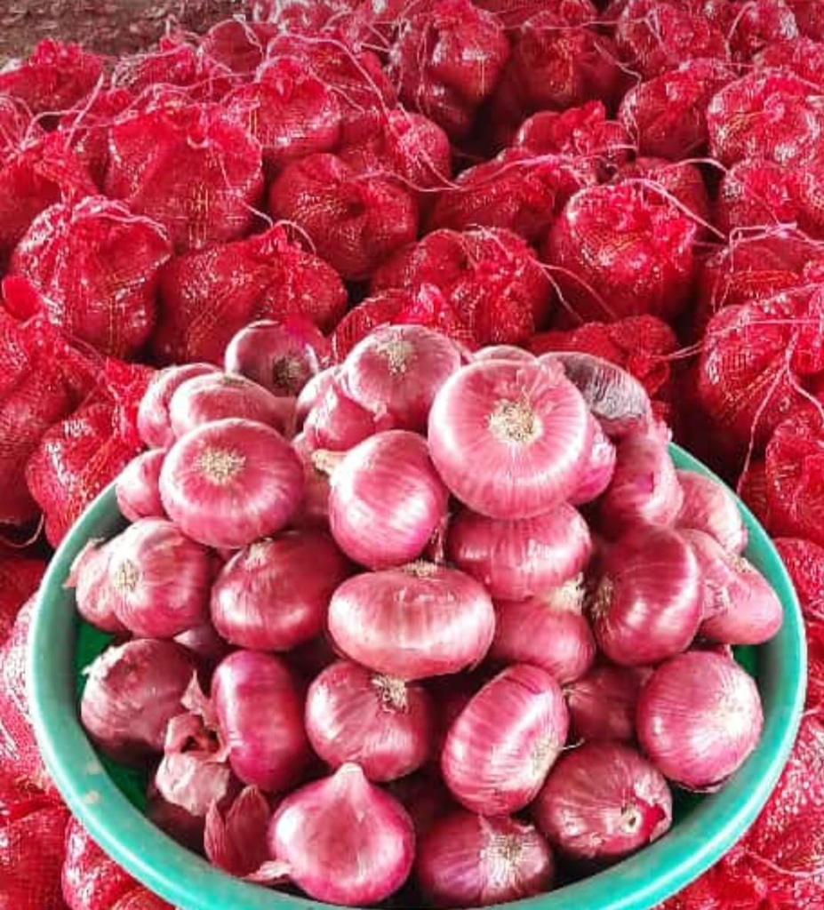 Onion