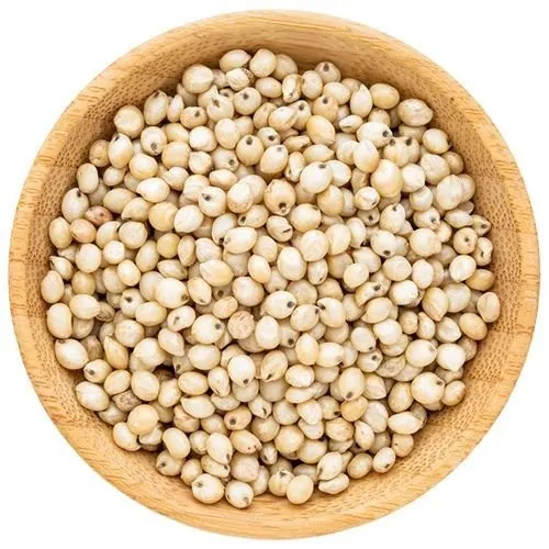 Jowar