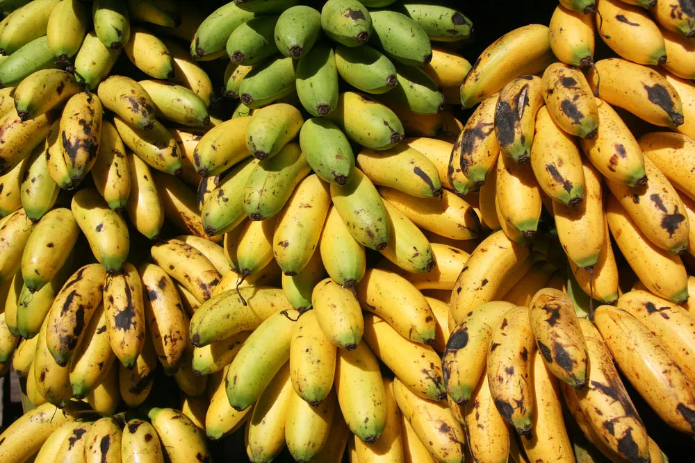 Banana